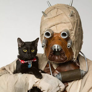 Meet your Posher, Aaron